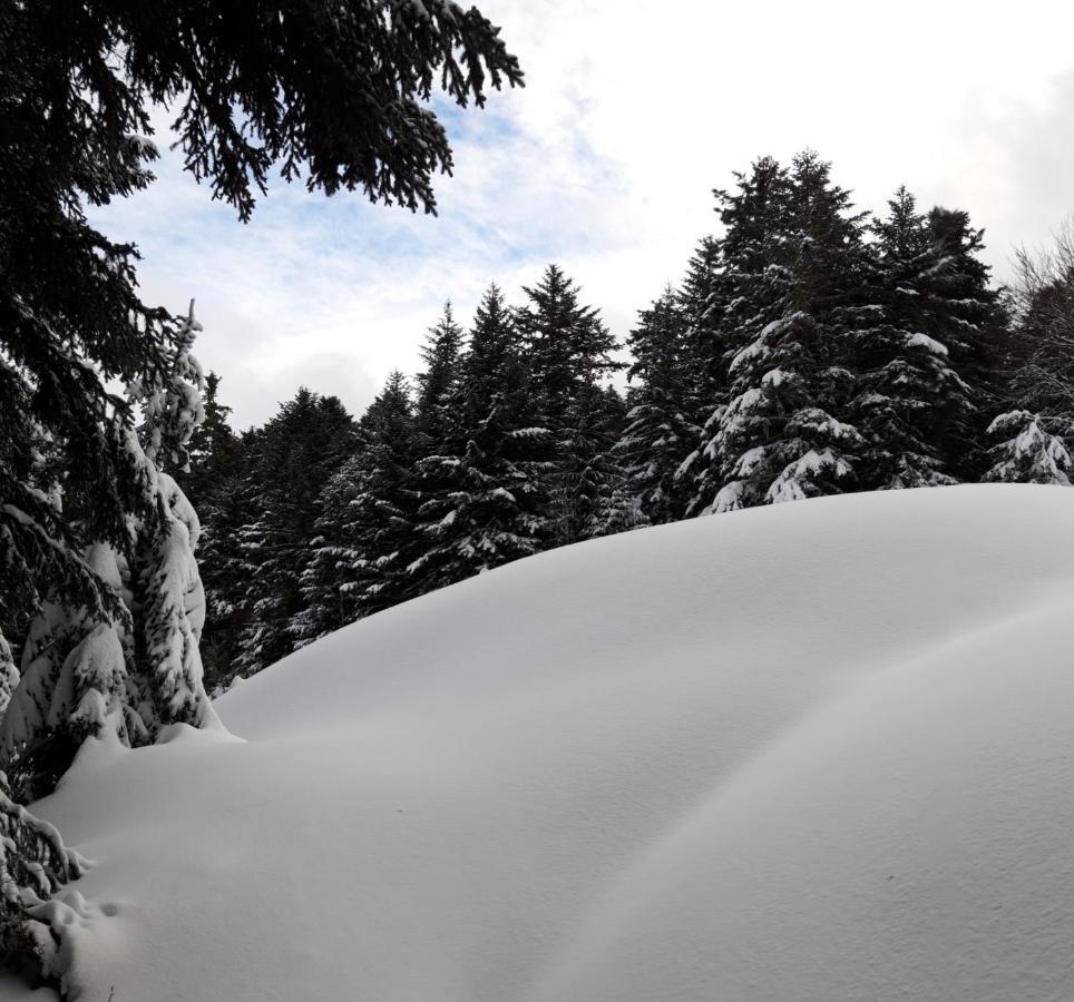 Pyrenees - Le Nid D'Ax Lejlighed Ax-les-Thermes Eksteriør billede
